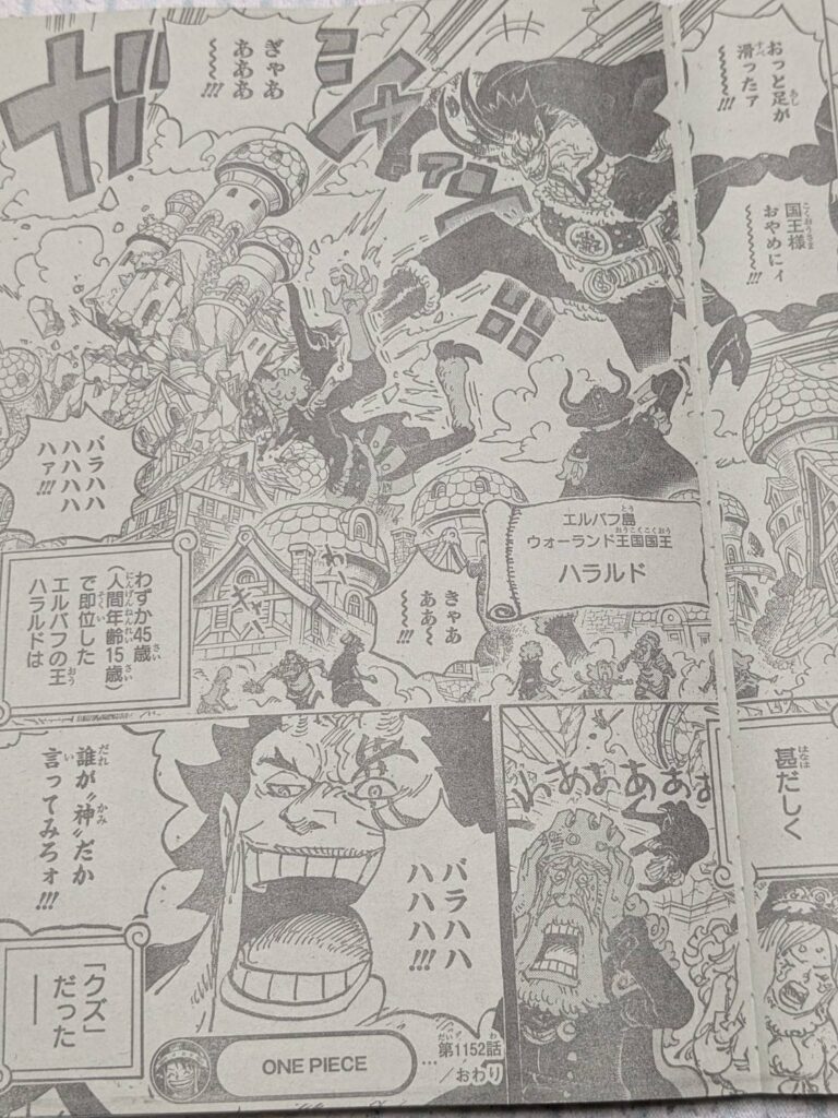 ワンピース1153話ネタバレ確定速報｜ハラルド王が愛した女性アイーダ | 【ワンピース考察】甲塚誓ノ介のいい芝居してますね！