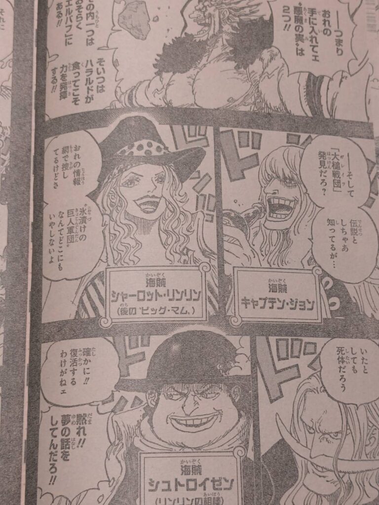 ワンピース1157話展開予想考察｜ロックスがハラルドに食べさせたい悪魔の実とは？