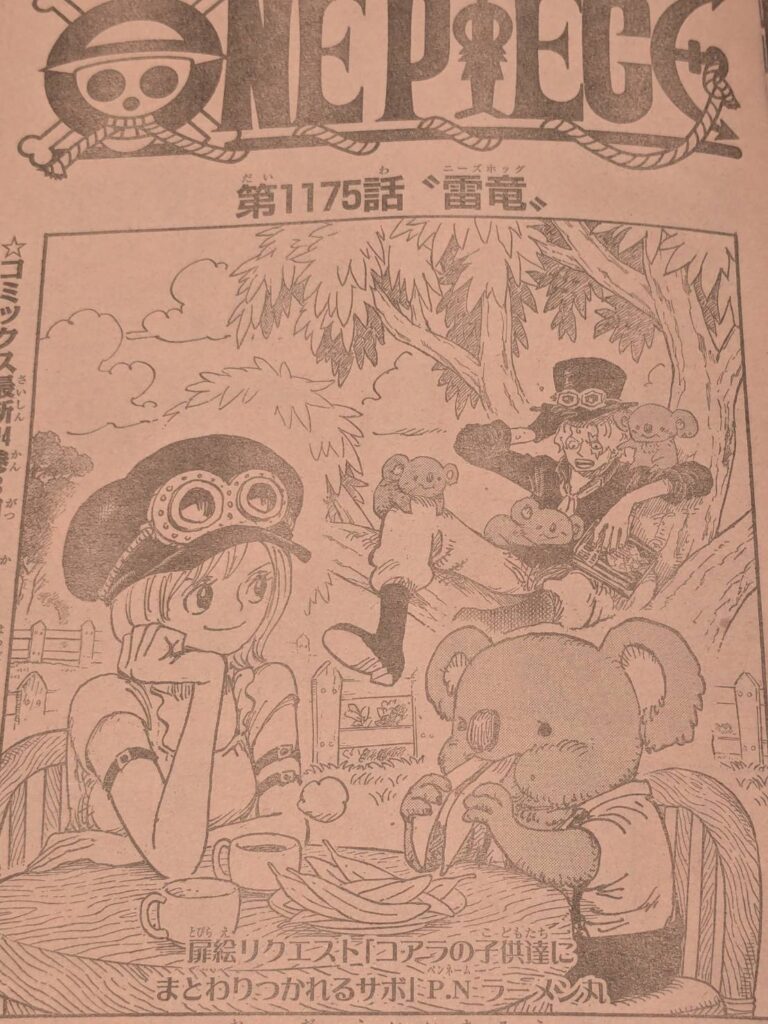 ワンピース1175話ネタバレ感想考察｜エルバフの秘宝は『リュウリュウの実幻獣種モデルニーズボック』